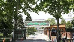 کسب رتبه نخست کشوری سازمان حفظ نباتات در صدور مجوزهای ترخیص در گمرکات کشور